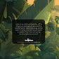 Animal Adventure